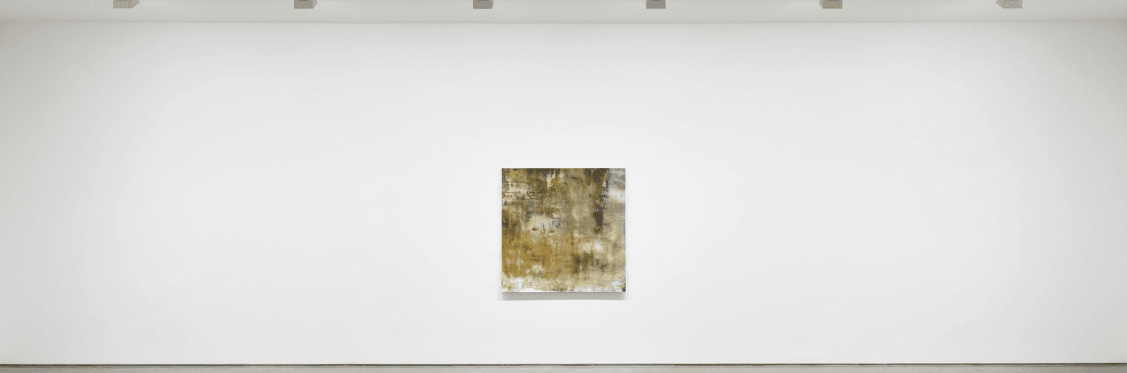 Zenith Fields VI - Bleached Distance, 48 x 48 cm
