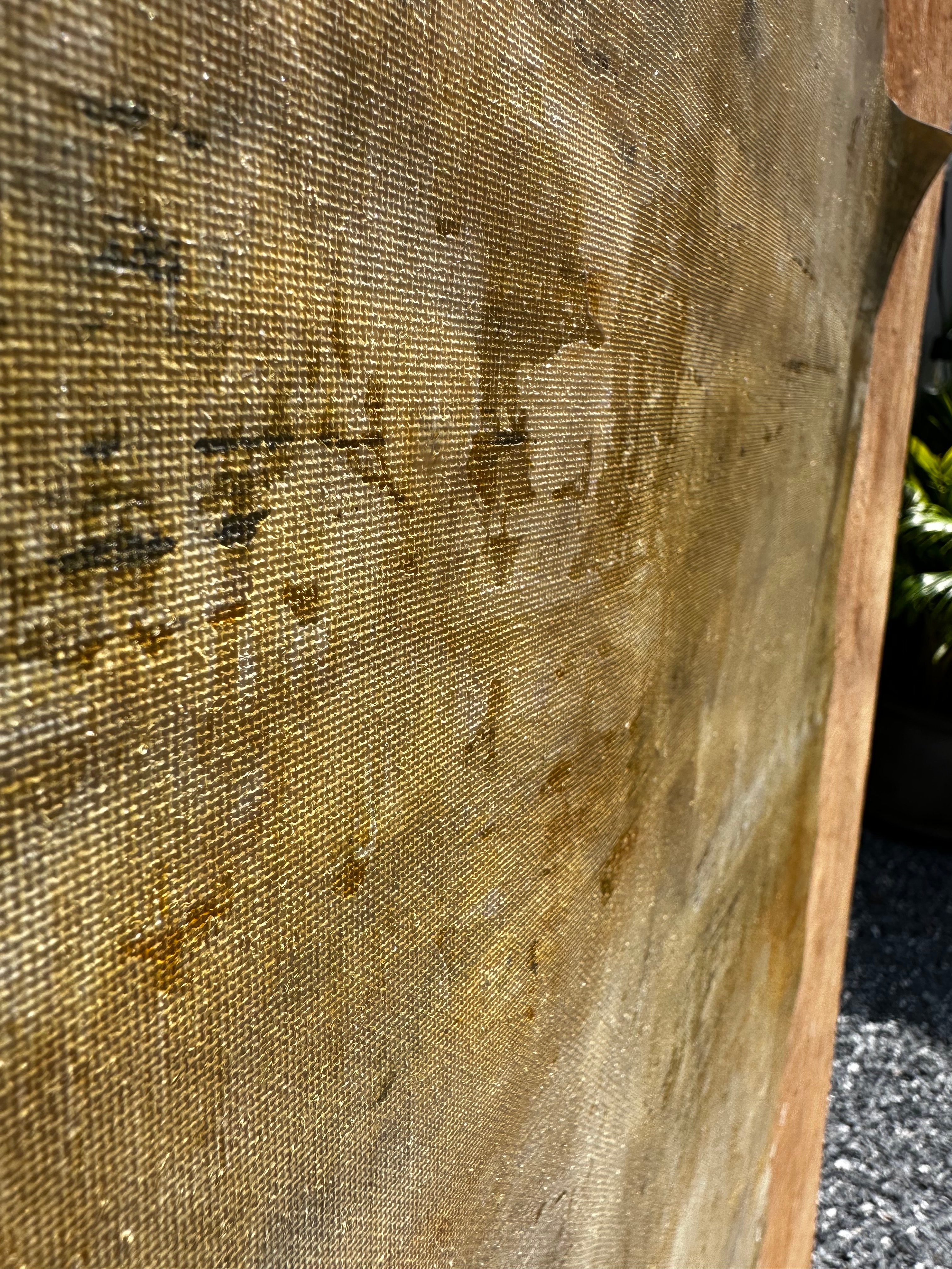 Zenith Fields V - Holding Sun, close-up texture